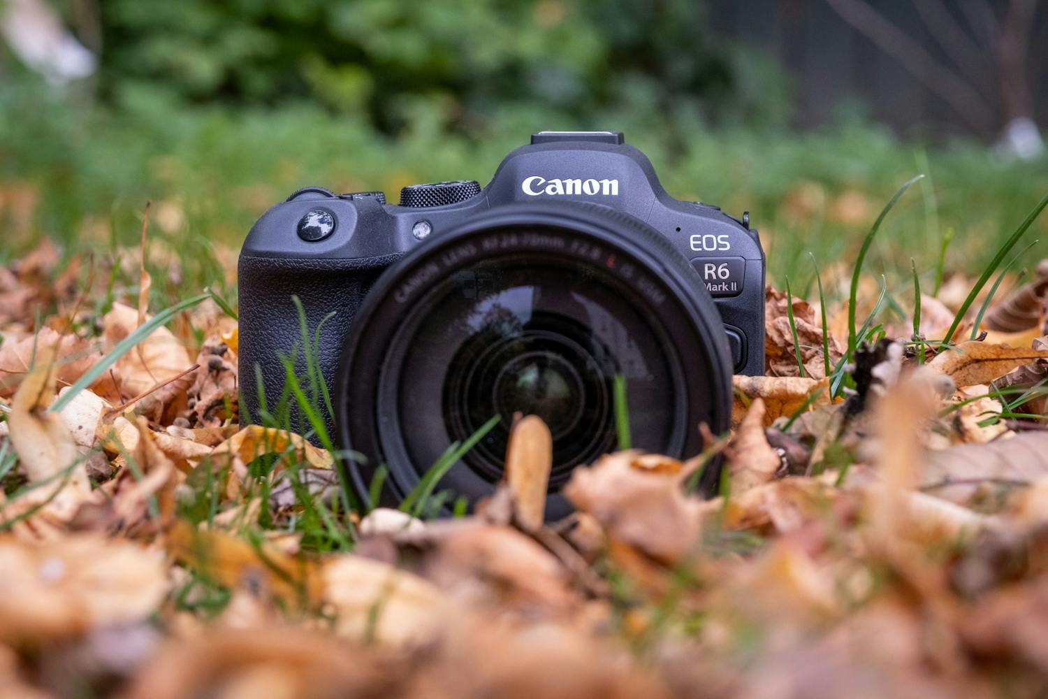Canon EOS R6 Mark II
